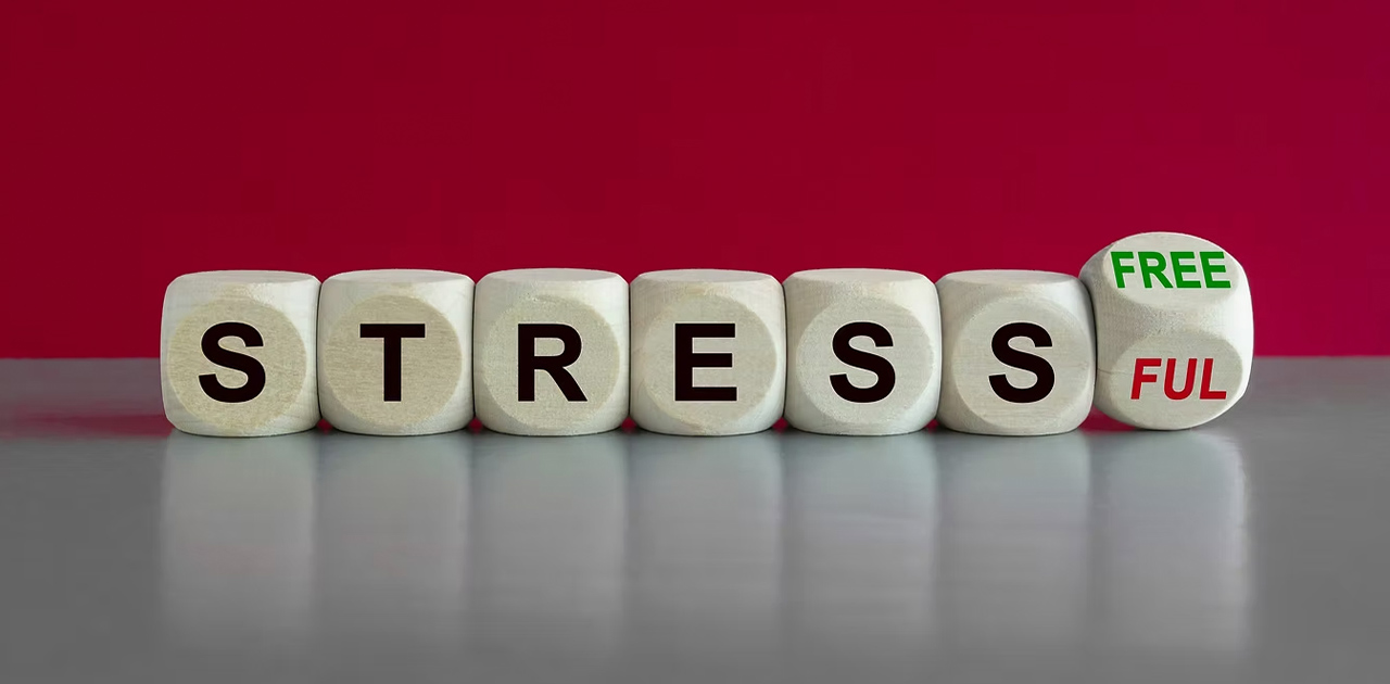 Holiday Stress, Cortisol, and Staying Grounded: Navigating the Season with Ease